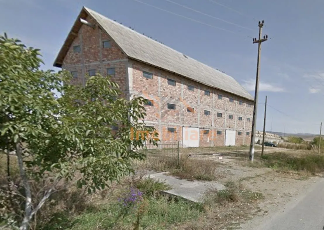 CLADIRE INDUSTRIALA PENTRU CEREALE | MAERISTE | SALAJ  |  3.000 TEREN - foto 2