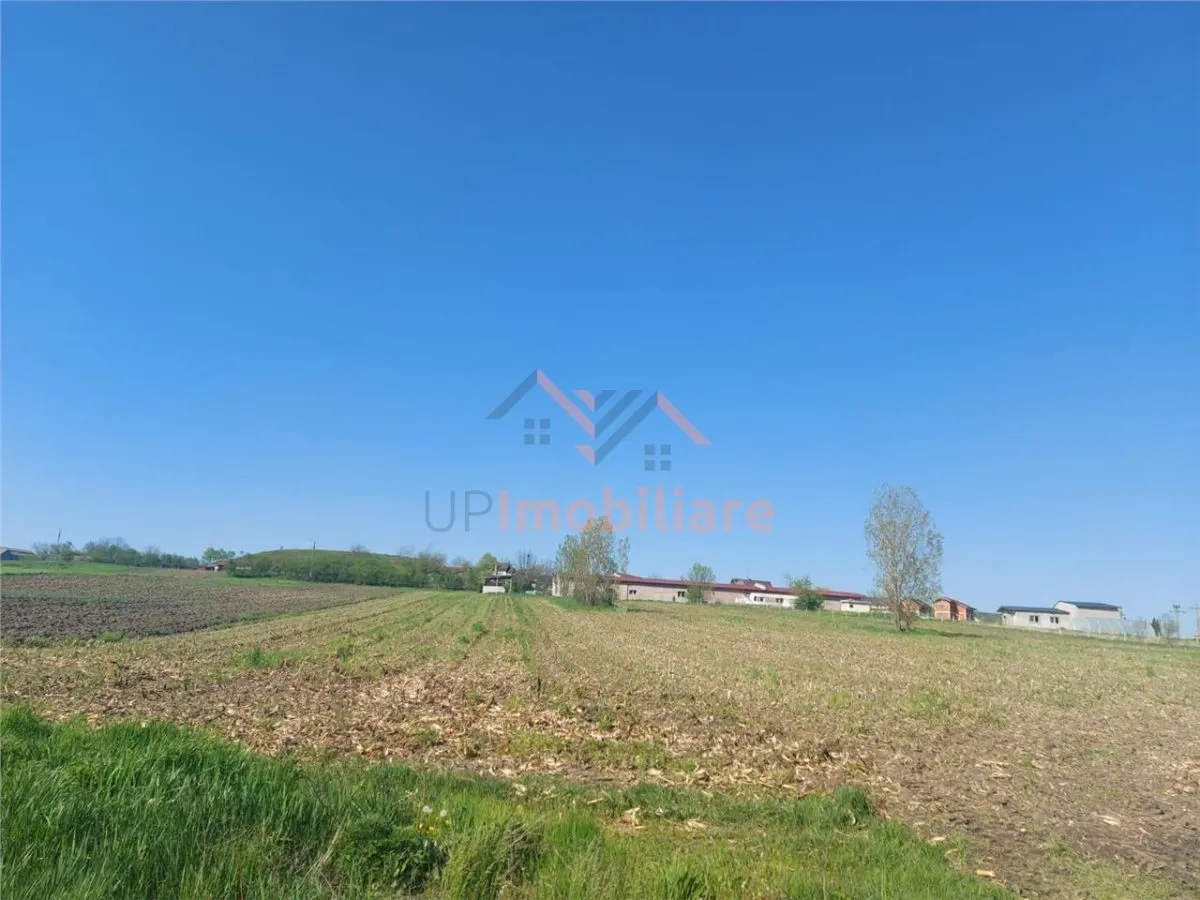 TEREN INTRAVILAN | 4300 MP | HIDISELUL DE SUS | BIHOR - foto 4
