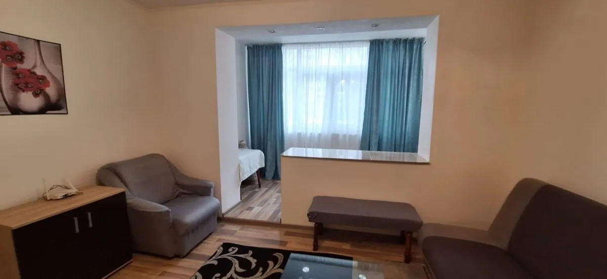 Apartament 2 Camere COPOU - 460 euro - foto 4