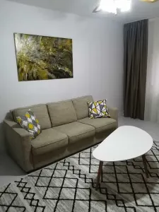 Apartament 2 camere decomandat Nicolina - 450 euro - foto 3
