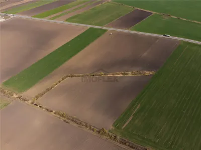 Teren Intravilan 14450 Cu PUZ Aprobat - foto 4