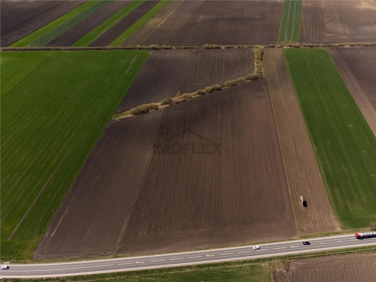 Teren Intravilan 14450 Cu PUZ Aprobat - foto 6