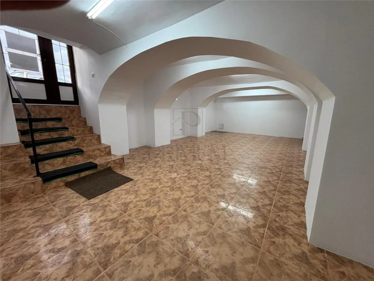 SAGULUI - SPATIU COMERCIAL  - ACCES STRADAL - CENTRALA PROPRIE - PROASPAT RENOVAT - foto 1