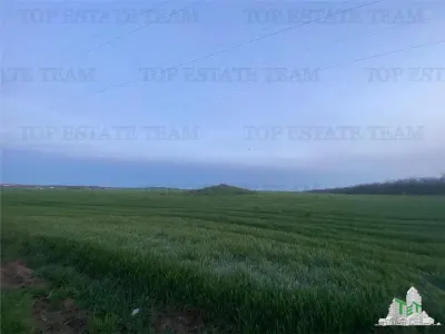 Teren intravilan 15000 mp Costinesti, Constanta - foto 7