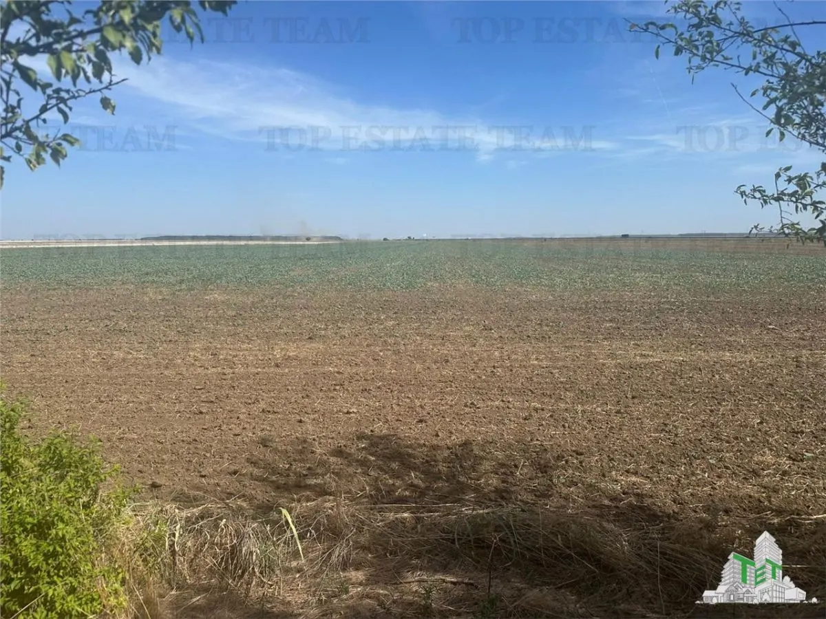 Vanzare teren intravilan construibil, Branesti-Ilfov, 5000 mp, ideal rezidenta, investitie majora - foto 1