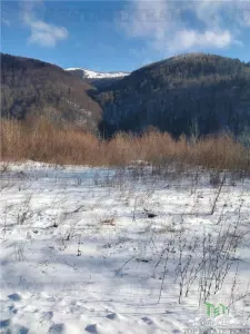 Teren Intravilan Sinaia -Calea Calarasi, Prahova 4034 mp, zona exclusivista, investitie majora - foto 4