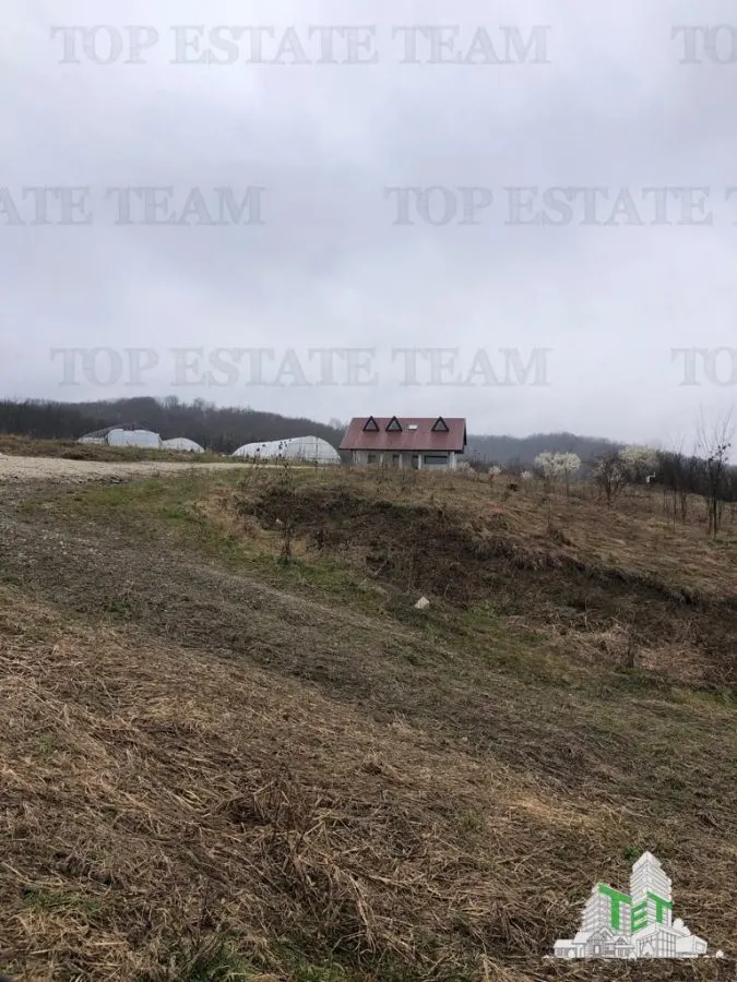 Casa de vanzare in Stanomiru  Judetul Valcea cu un teren in suprafata de 320000 mp - foto 1