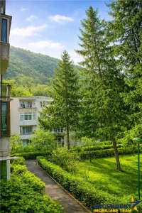 Apartament 2 camere,luminos,incadrat de liniste si verdele naturii,Ultracentral,Brasov. - Brasov