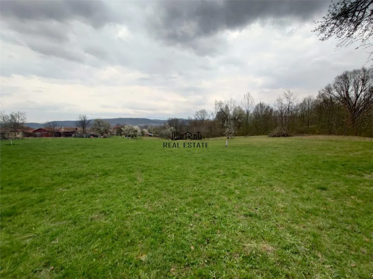 10 000 mp teren intravilan cu priveliste - foto 1