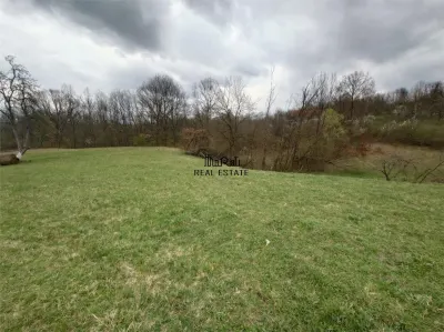 10 000 mp teren intravilan cu priveliste - foto 2