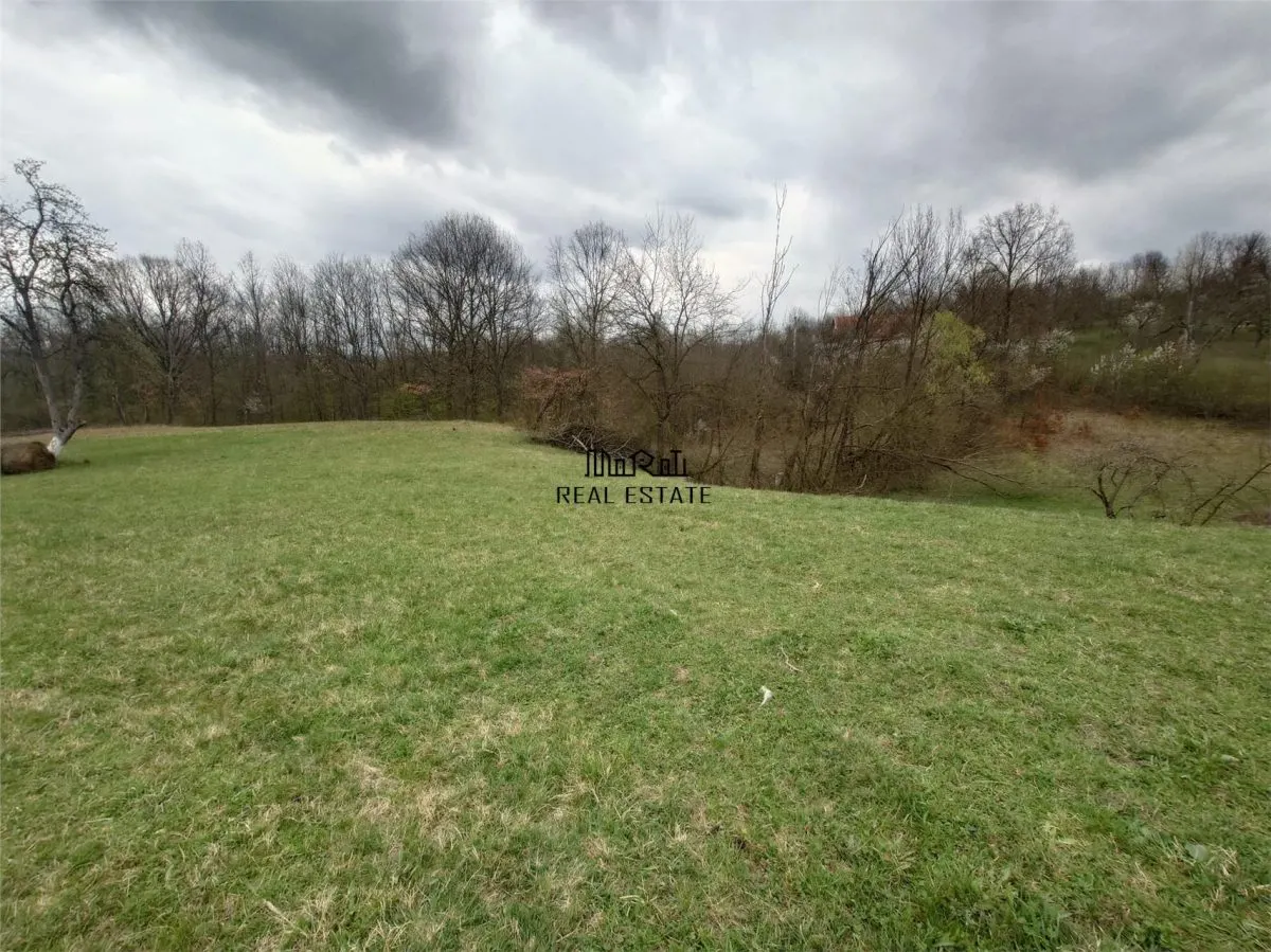 10 000 mp teren intravilan cu priveliste - foto 2