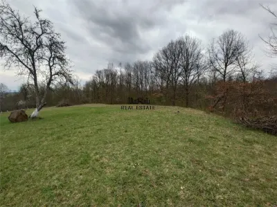 10 000 mp teren intravilan cu priveliste - foto 11