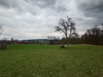 10 000 mp teren intravilan cu priveliste - foto 12