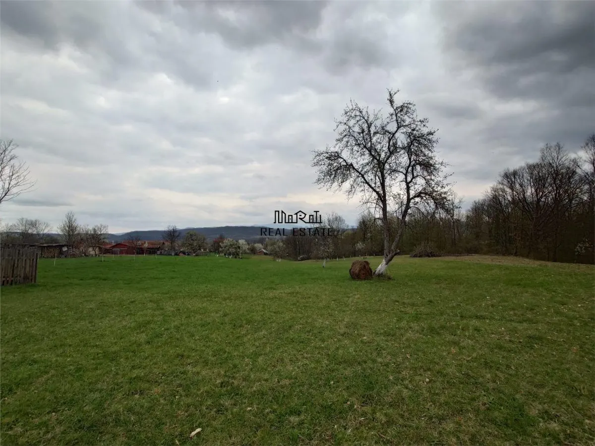10 000 mp teren intravilan cu priveliste - foto 12