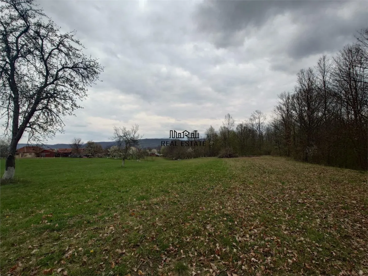 10 000 mp teren intravilan cu priveliste - foto 13