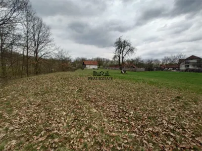 10 000 mp teren intravilan cu priveliste - foto 14