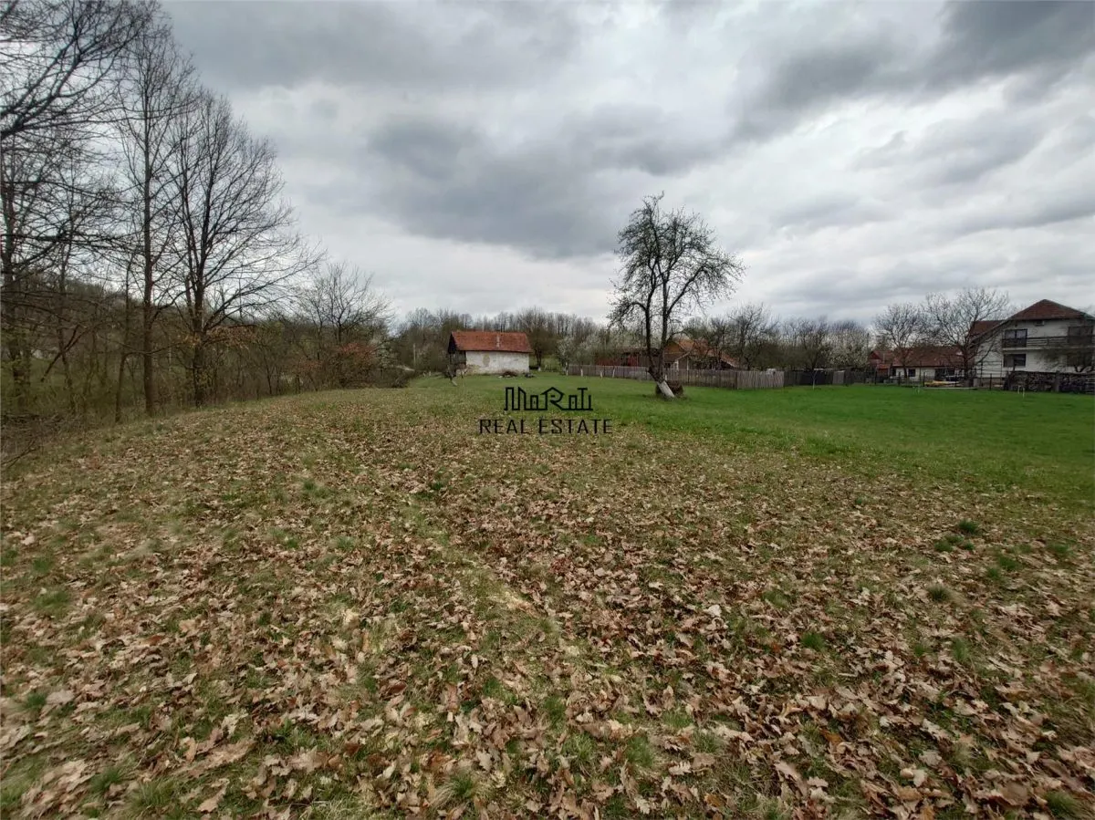 10 000 mp teren intravilan cu priveliste - foto 14