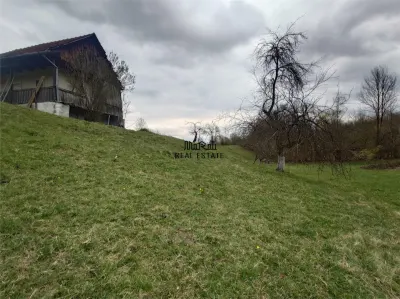 10 000 mp teren intravilan cu priveliste - foto 15