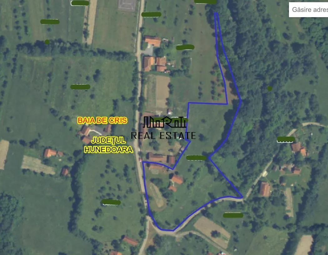 10 000 mp teren intravilan cu priveliste - foto 20