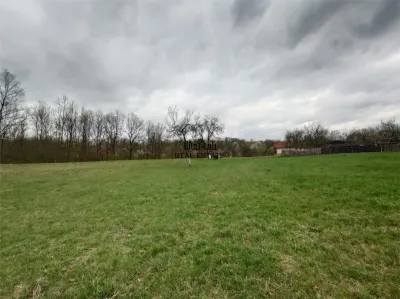 10 000 mp teren intravilan cu priveliste - foto 5