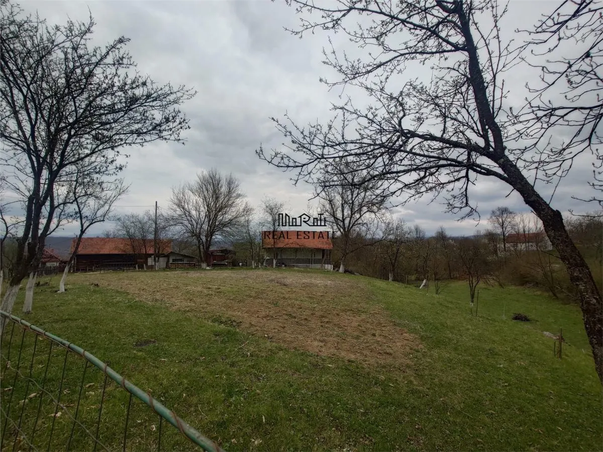 10 000 mp teren intravilan cu priveliste - foto 6