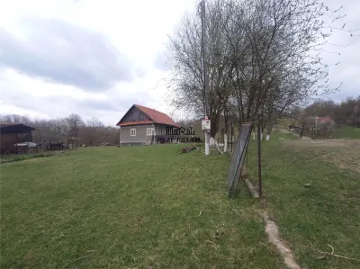 10 000 mp teren intravilan cu priveliste - foto 8