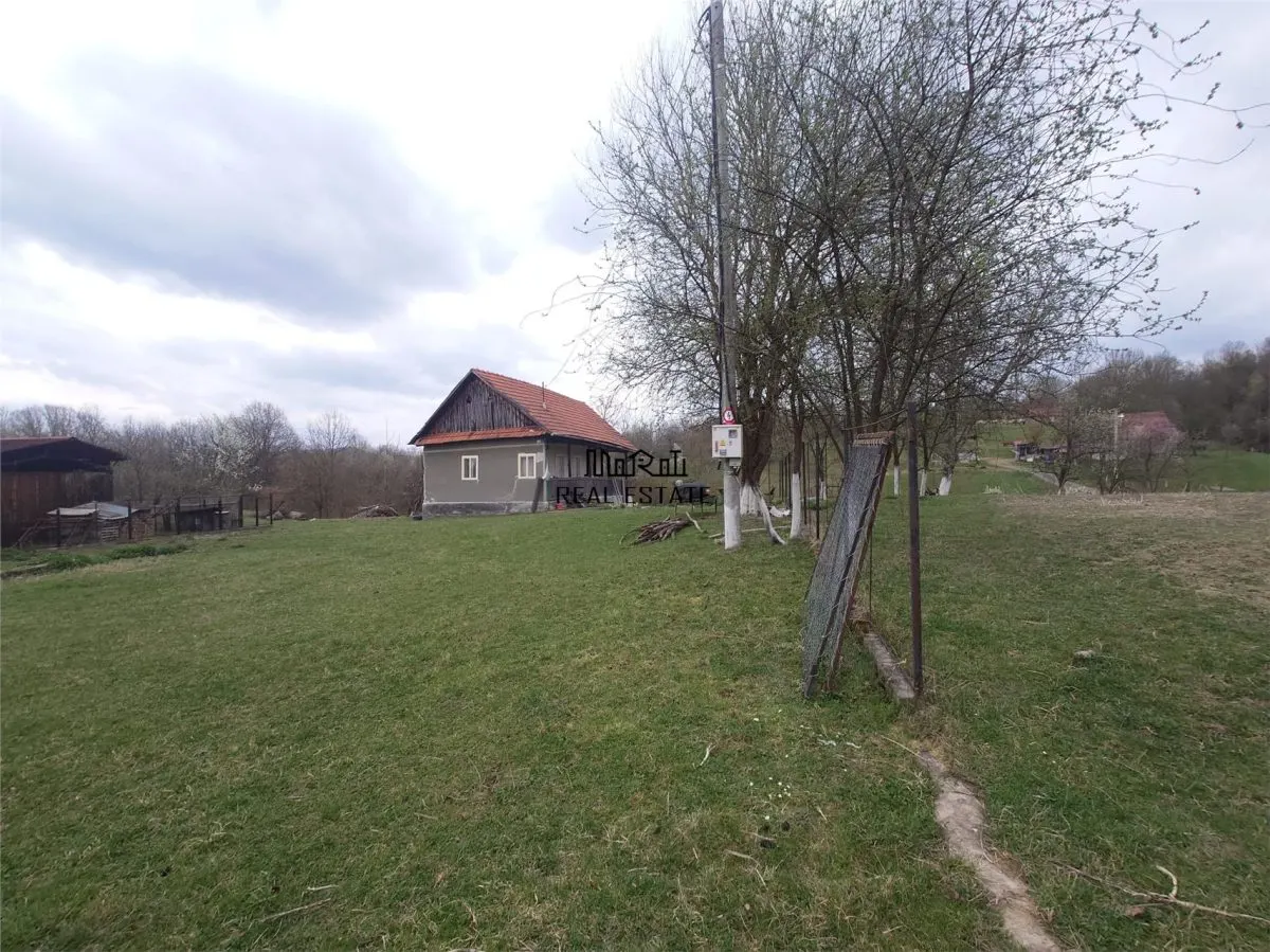 10 000 mp teren intravilan cu priveliste - foto 8