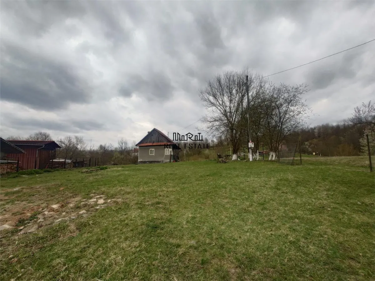 10 000 mp teren intravilan cu priveliste - foto 9