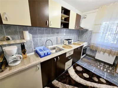 Apartament 2 camere, Girocului - Salcamilor - foto 7