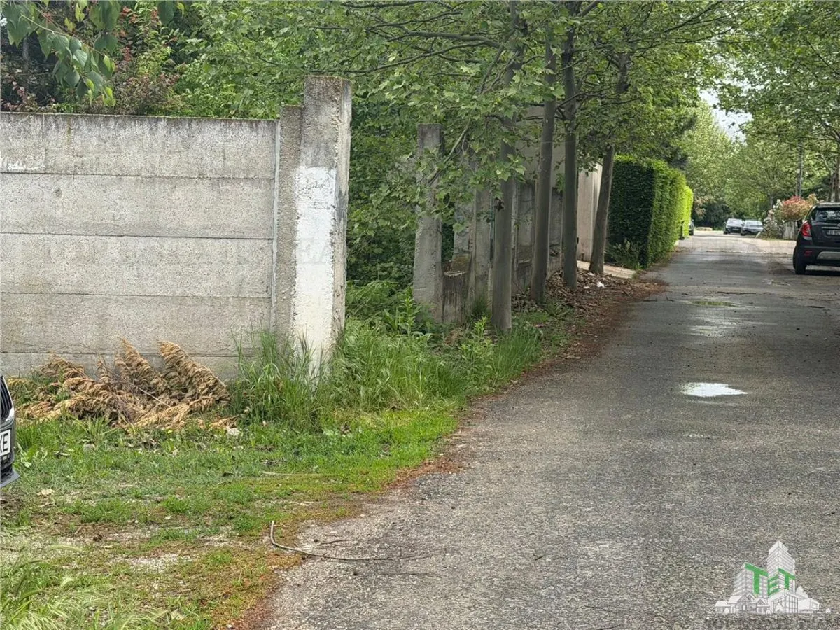 Teren Premium de Vanzare in Corbeanca â€“ Aproape de Lac | 2000 mp - foto 2