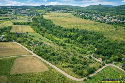 FILM! Confortabila ariere, 4.500 mp, arbori roditori, Sancraiu,Covasna - Sfantu Gheorghe