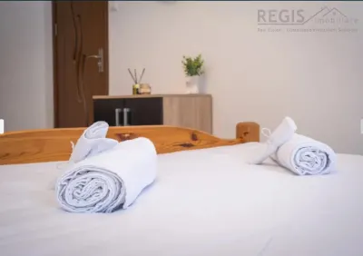 Apartament 2 camere Ultracentral - foto 4