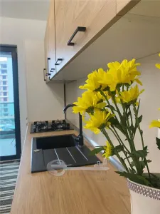 Apartament Modern cu Parcare Inclusă | Solumnia, Tatarasi - Iasi