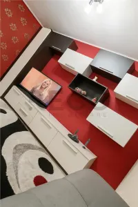 RECO Apartament PB decomandat,  2 camere, Velenta - foto 8