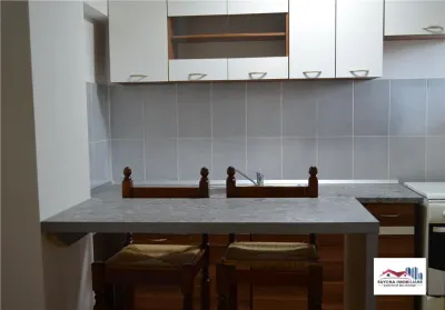 Apartament 1 Camera Mobilat si Utilat de Vanzare Zona Dambu Pietros - foto 6