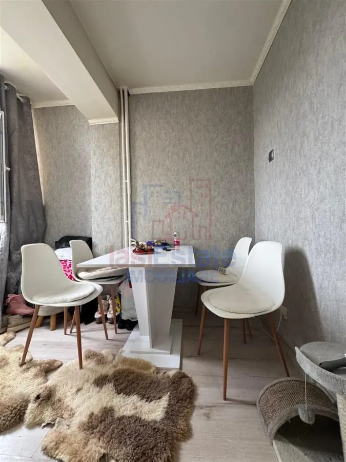 Garsoniera de vanzare zona Alexandru cel Bun - foto 3