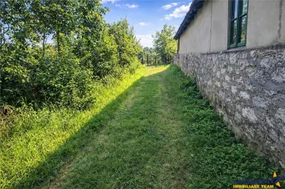 2.000mp teren,acces facil,recomandat constructie casa,Central,Greceanca, Buzau - foto 3