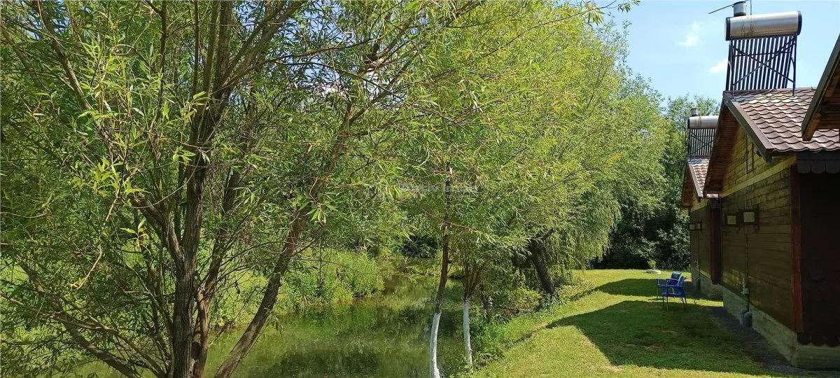 COMPLEX 5 CABANE DIN LEMN CU ACCES LA DUNARE + teren  in Podul Gornei, jud. CS - foto 15