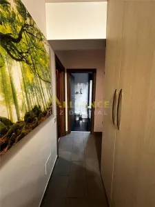 3 camere spatios / Mobilat si utilat MODERN / Bd. Metalurgiei - foto 4