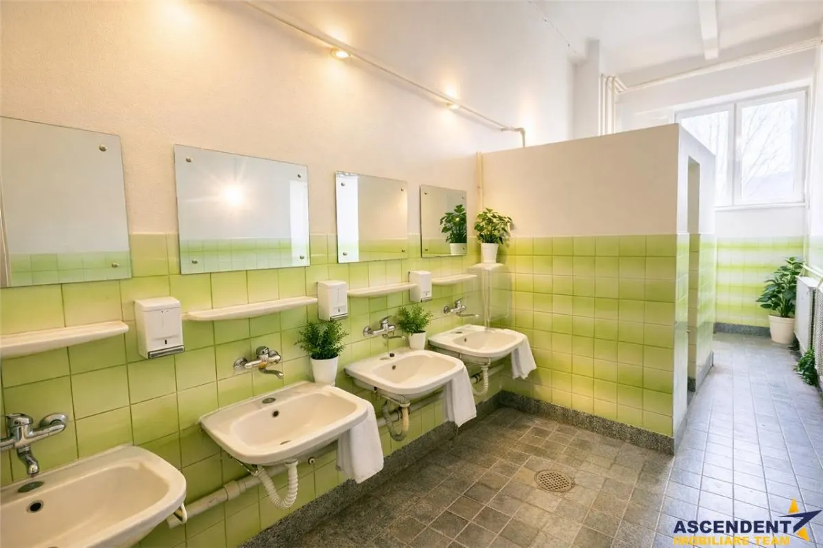 Apreciabil ansamblu:industrial+productie+ birouri+6.322mp teren,Bretcu,Covasna - foto 13