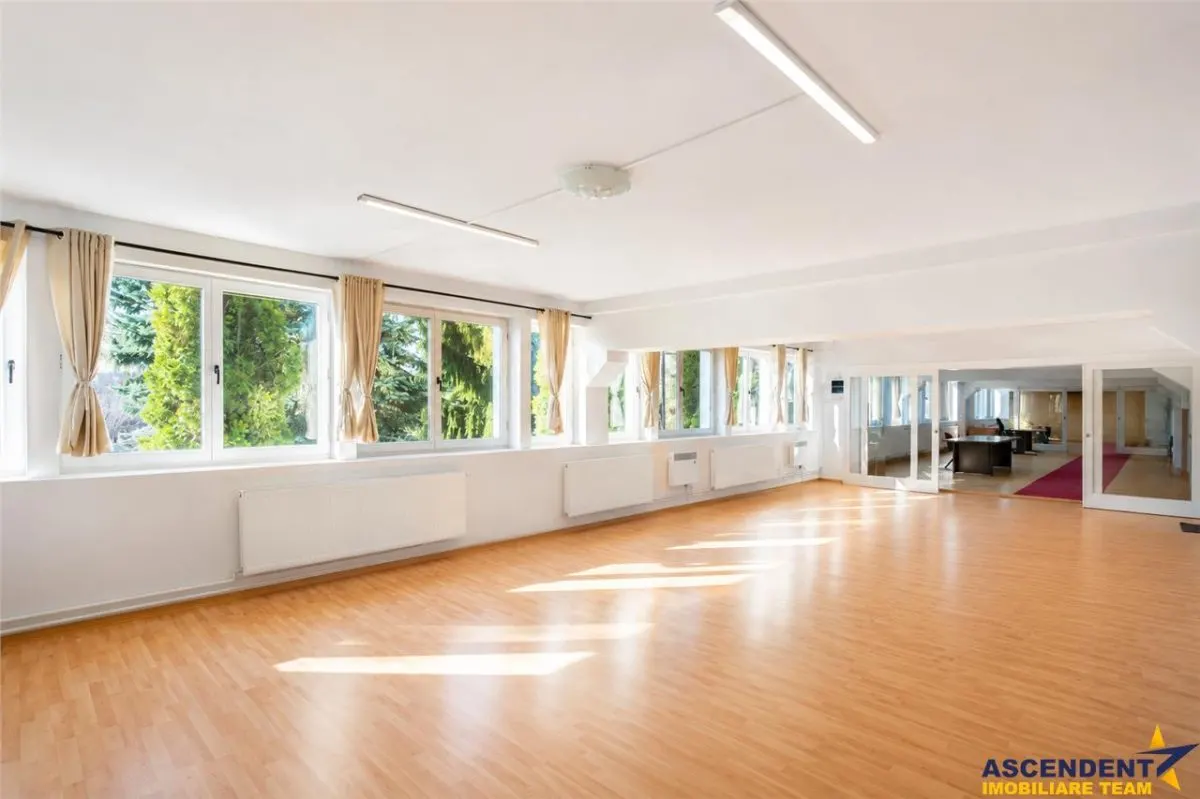Spatii de birouri pentru afaceri care apreciaza profesionalismul - foto 1