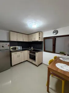 INCHIRIERE â€“ APARTAMENT 2 CAMERE BLD DACIA - foto 8