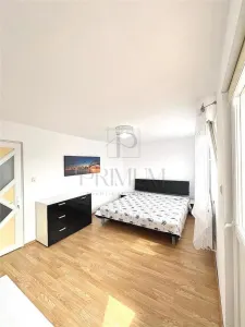 FREIDORF, CASA INDIVIDUALA, 3 CAMERE, 2 BAI, BALCON - foto 7