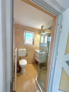 FREIDORF, CASA INDIVIDUALA, 3 CAMERE, 2 BAI, BALCON - foto 8