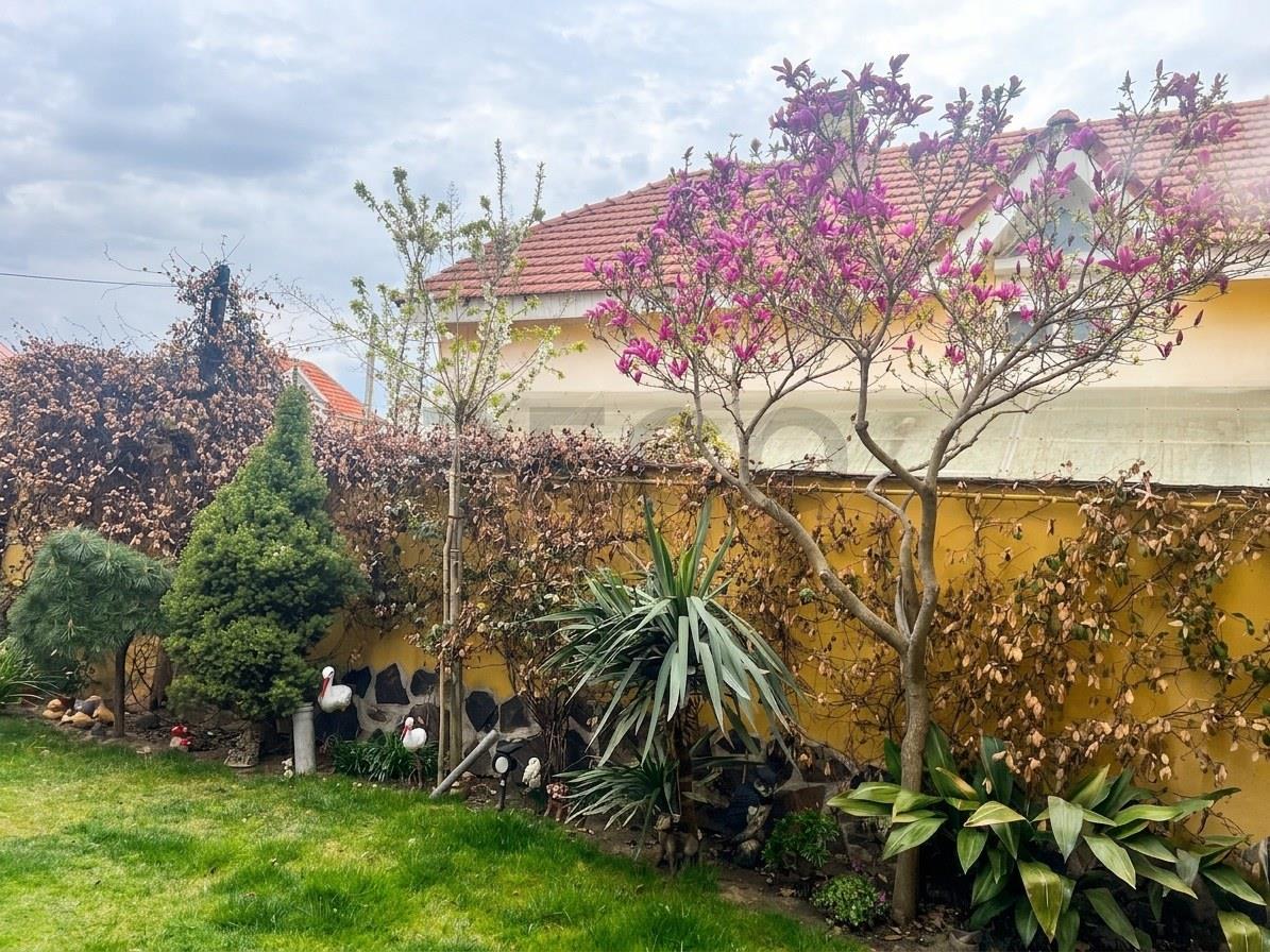 RECO Vila P+M 3 camere in Nufarul - foto 17