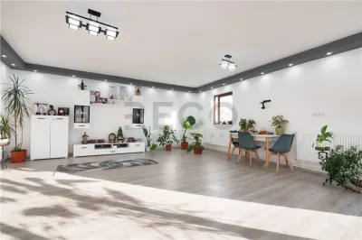 RECO, Doua case, una noua iar cealalta renovata complet, Zona Tarcea, Bihor - foto 4