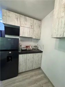 DACIA - APARTAMENT 1 CAMERA - mobilat, utilat, renovat complet - foto 3