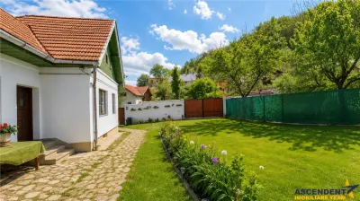 Pe domeniu de 1.750mp, rezidenta in Central, Sacele, Brasov - foto 1