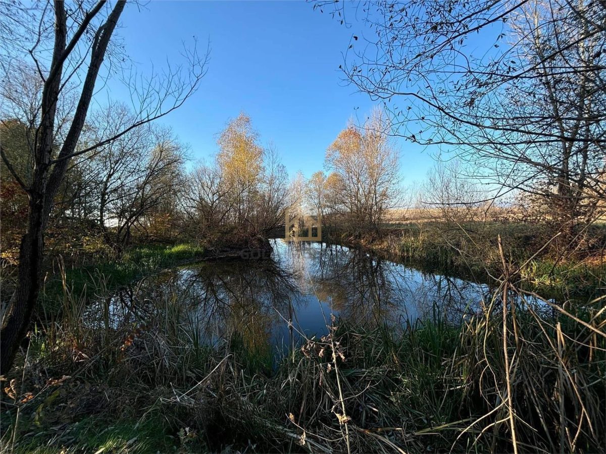 Teren cu balta de pescuit Lapusel - foto 11
