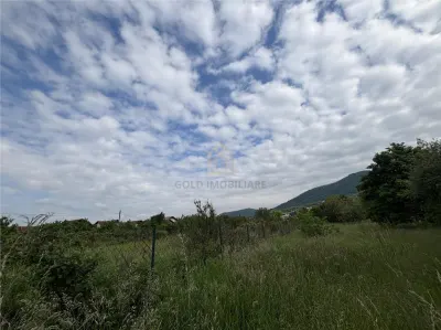 Teren de vanzare strada Branduselor - foto 7
